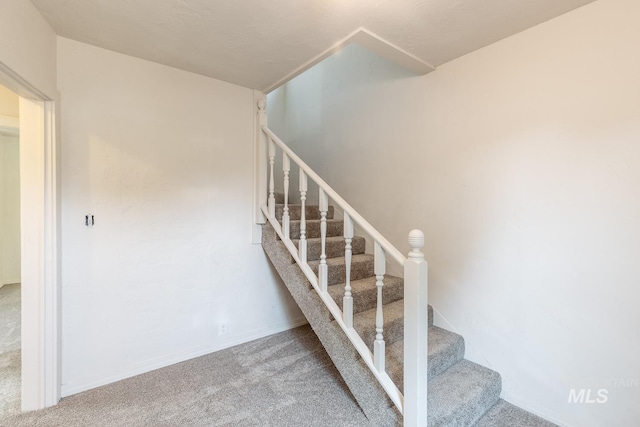 staircase with carpet flooring