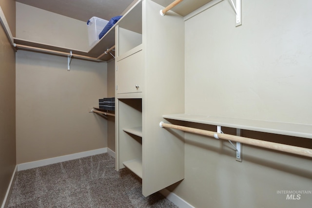 2018 S Sandcrest Loop, Nampa, ID 83686 - spacious closet with carpet flooring