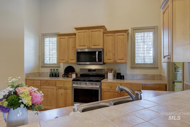 9407 W Pebblestream Dr, Boise, ID 83709 - kitchen featuring appliances with stainless steel finishes and a high ceiling