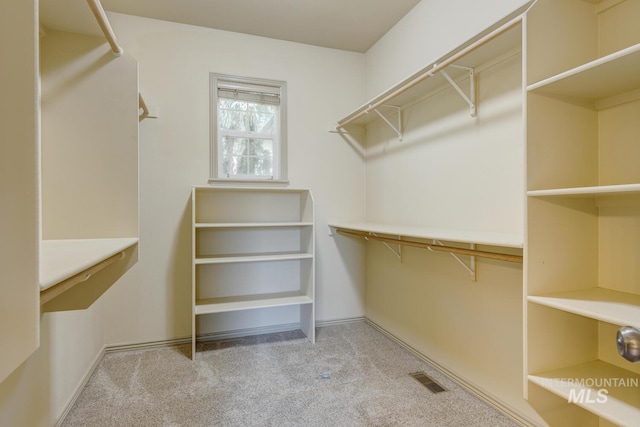 9407 W Pebblestream Dr, Boise, ID 83709 - spacious closet with light colored carpet