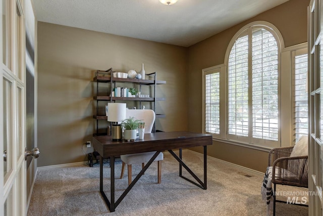 9407 W Pebblestream Dr, Boise, ID 83709 - office area with carpet flooring and baseboards