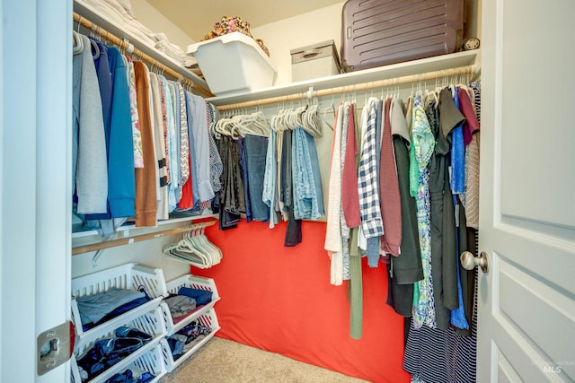 spacious closet featuring carpet