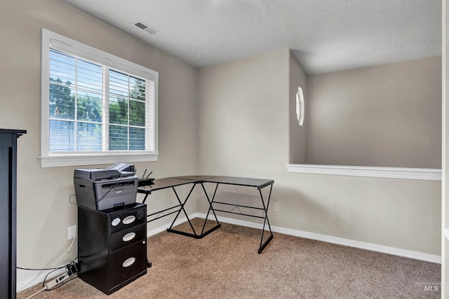 1390 E Prohaska Ct, Eagle, ID 83616 - carpeted home office with baseboards and a textured ceiling