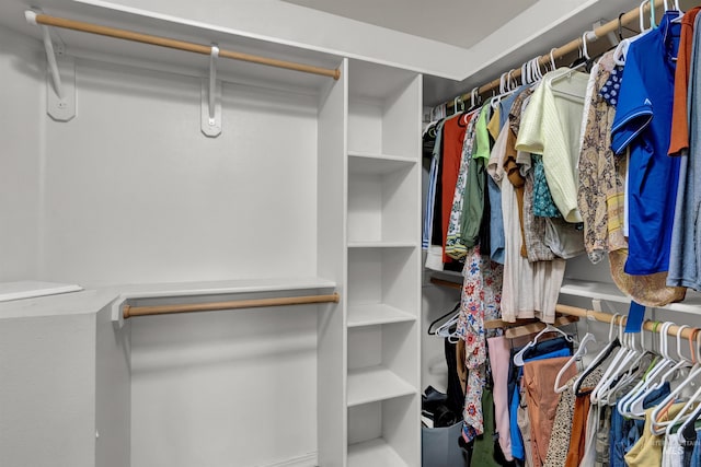 1390 E Prohaska Ct, Eagle, ID 83616 - view of walk in closet