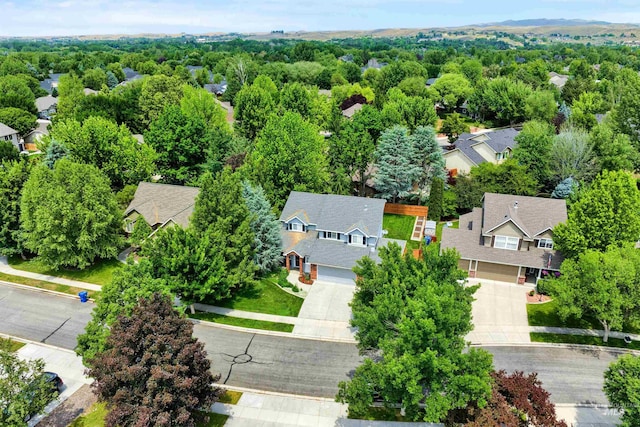 1390 E Prohaska Ct, Eagle, ID 83616 - aerial view of residential area