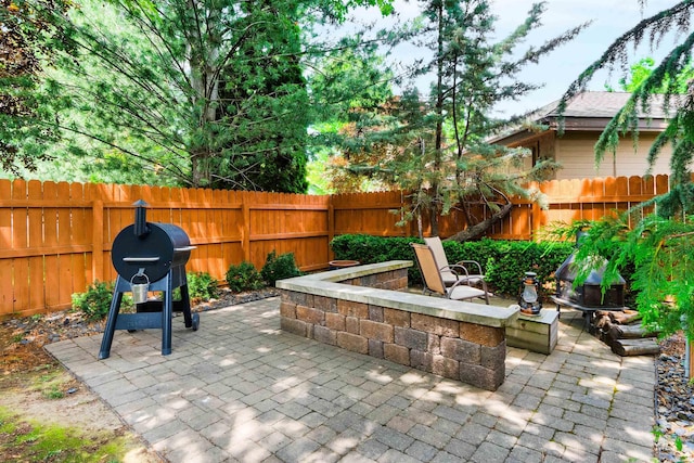 1390 E Prohaska Ct, Eagle, ID 83616 - fenced backyard with a patio area and a grill