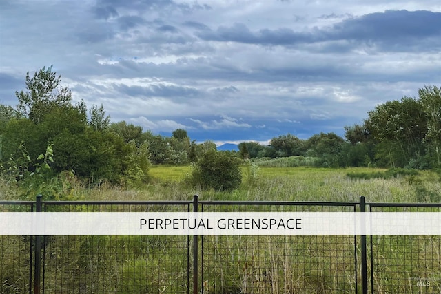 278 S Carbon Rivet Ave, Eagle, ID 83616 - view of street