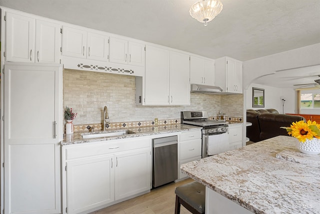 1520 R St, Heyburn, ID 83336 - kitchen featuring appliances with stainless steel finishes, a sink, under cabinet range hood, light wood-type flooring, and light stone counters