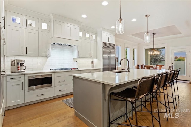 kitchen with light countertops, a tray ceiling, light wood-style floors, stainless steel appliances, and a sink