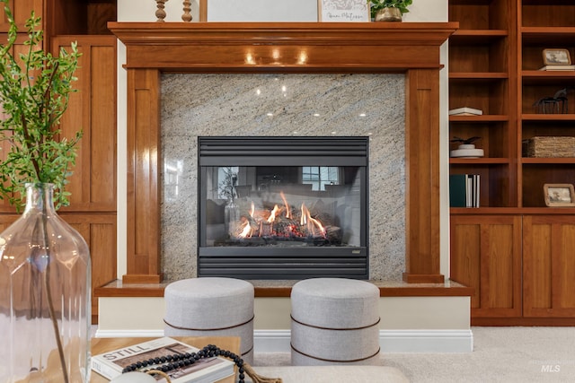 room details featuring a fireplace