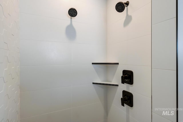 room details with tiled shower