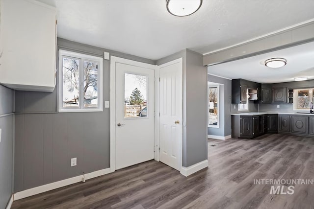 entryway with dark hardwood / wood-style floors and sink