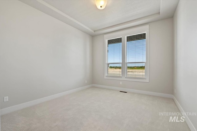 8469 W Happy Day Dr, Meridian, ID 83646 - spare room with light carpet, baseboards, and a raised ceiling