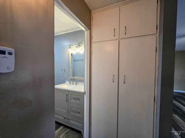 bathroom featuring wood finished floors and vanity