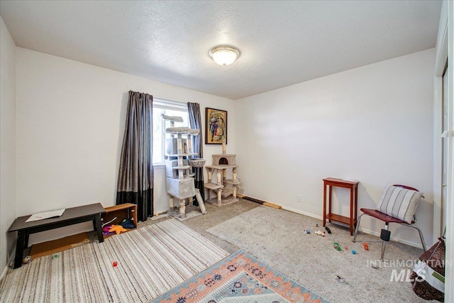 misc room featuring a textured ceiling and carpet