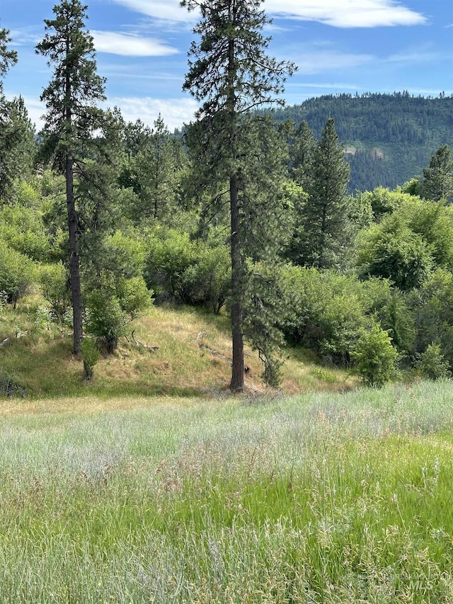 NKA Sunnyside Bench Rd, Lenore, ID 83541