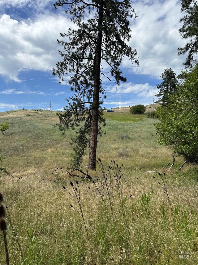 NKA Sunnyside Bench Rd, Lenore, ID 83541