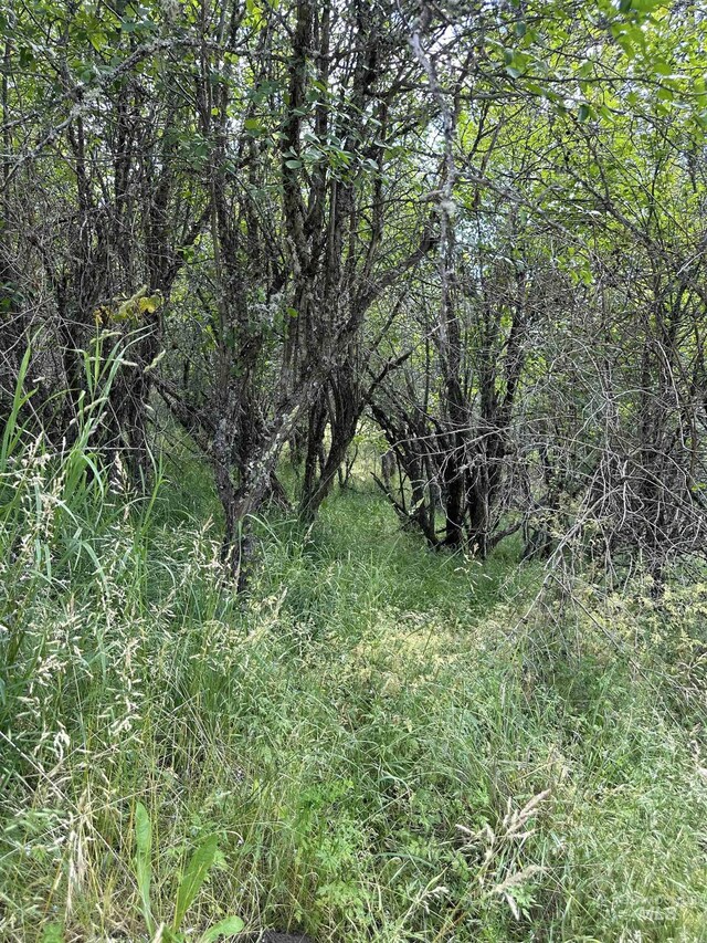 NKA Sunnyside Bench Rd, Lenore, ID 83541