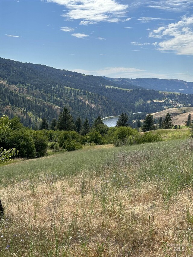 NKA Sunnyside Bench Rd, Lenore, ID 83541