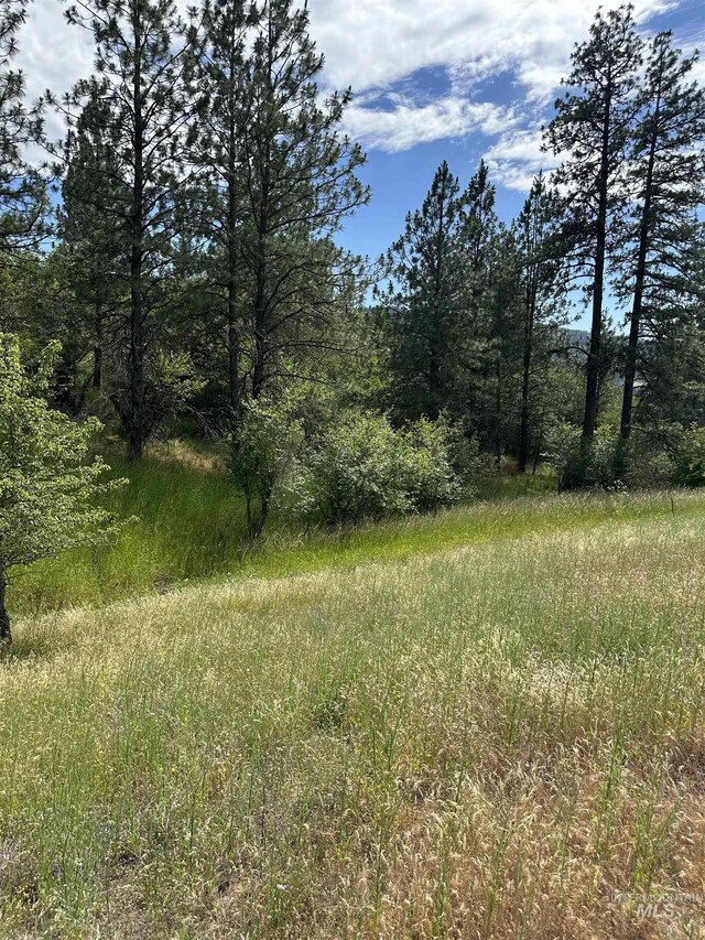NKA Sunnyside Bench Rd, Lenore, ID 83541