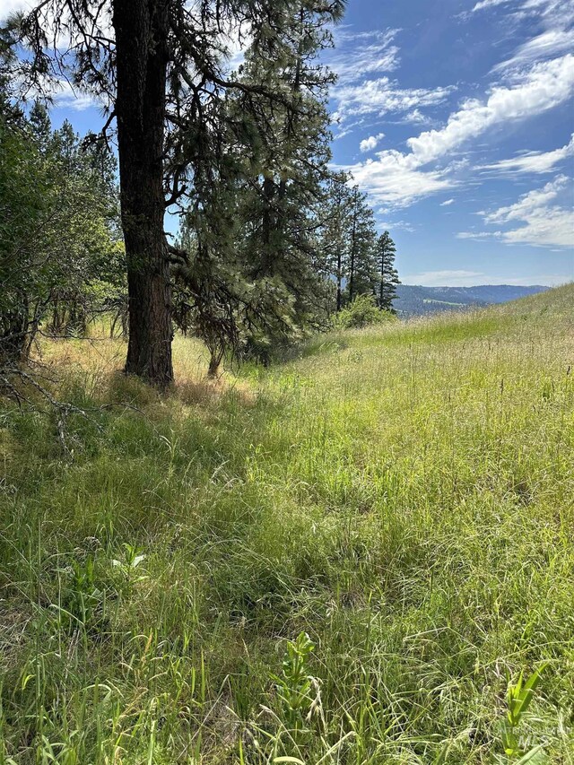 NKA Sunnyside Bench Rd, Lenore, ID 83541