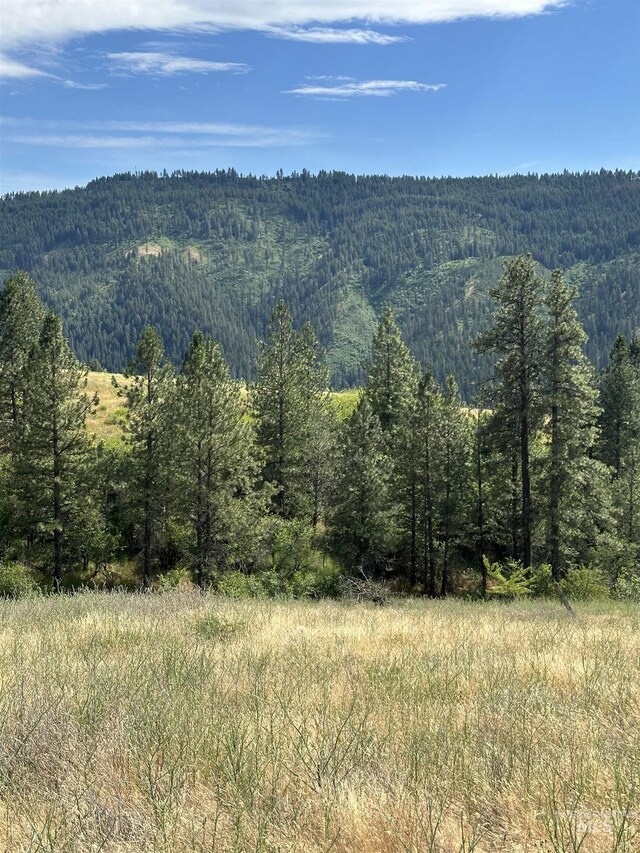 NKA Sunnyside Bench Rd, Lenore, ID 83541