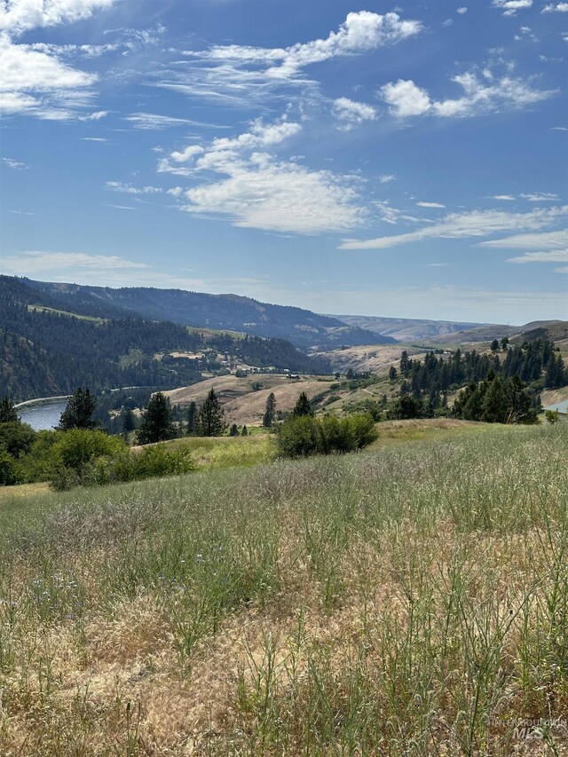NKA Sunnyside Bench Rd, Lenore, ID 83541