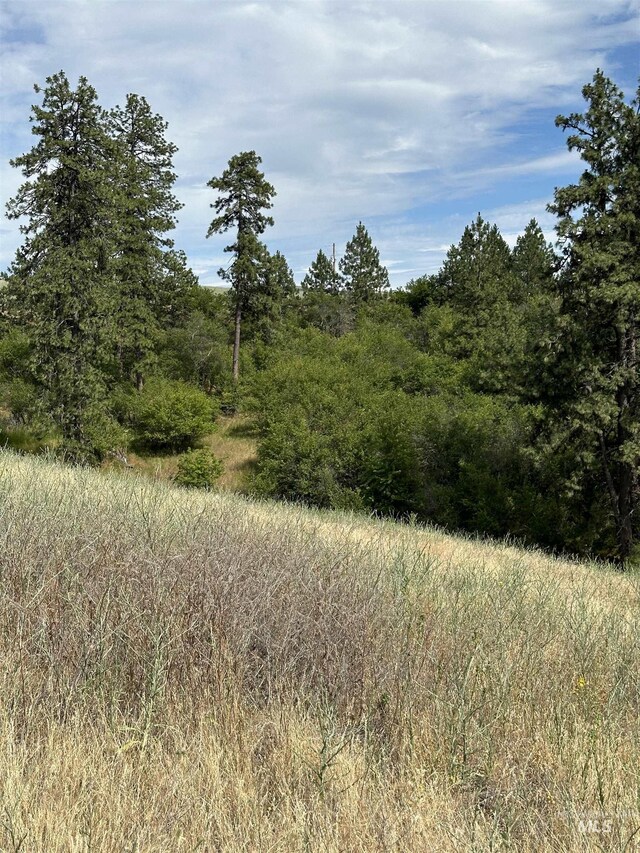 NKA Sunnyside Bench Rd, Lenore, ID 83541