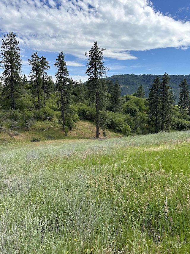 NKA Sunnyside Bench Rd, Lenore, ID 83541