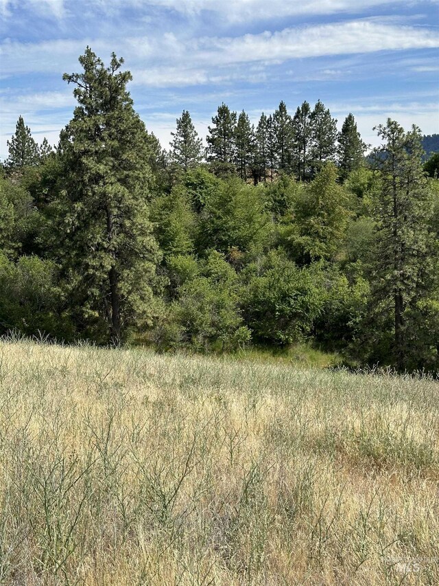 NKA Sunnyside Bench Rd, Lenore, ID 83541