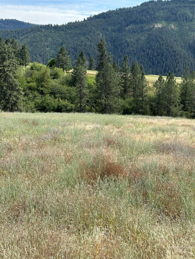 NKA Sunnyside Bench Rd, Lenore, ID 83541