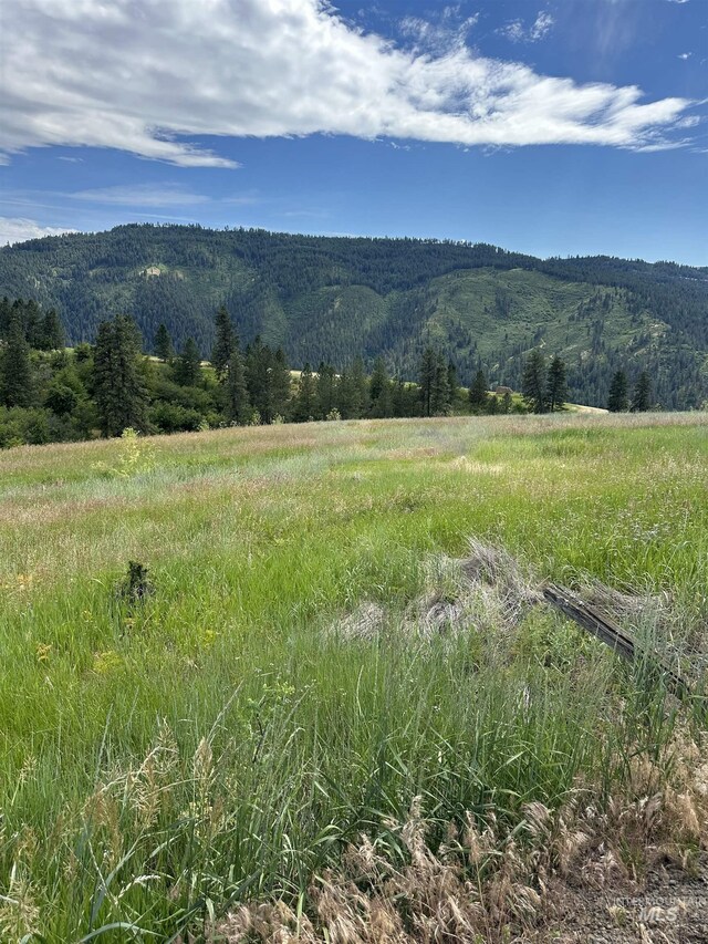 NKA Sunnyside Bench Rd, Lenore, ID 83541