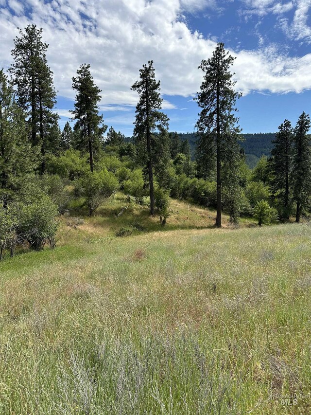 NKA Sunnyside Bench Rd, Lenore, ID 83541