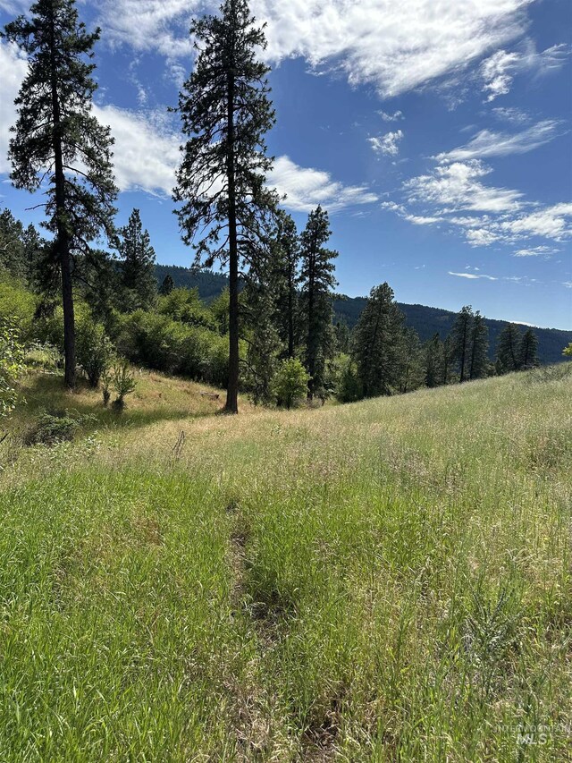 NKA Sunnyside Bench Rd, Lenore, ID 83541
