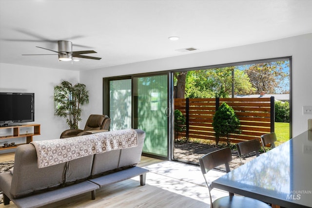 living room featuring visible vents, plenty of natural light, ceiling fan, and light wood finished floors