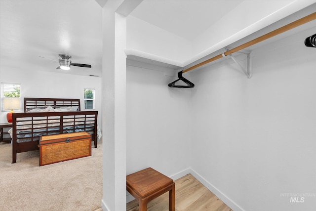 spacious closet with carpet and ceiling fan