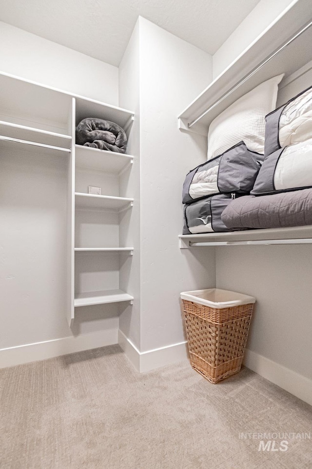 spacious closet featuring light carpet