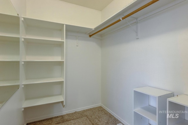 spacious closet featuring carpet floors