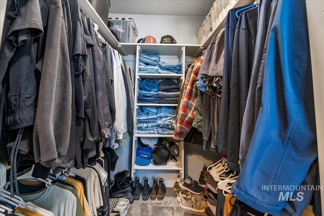 spacious closet featuring carpet flooring