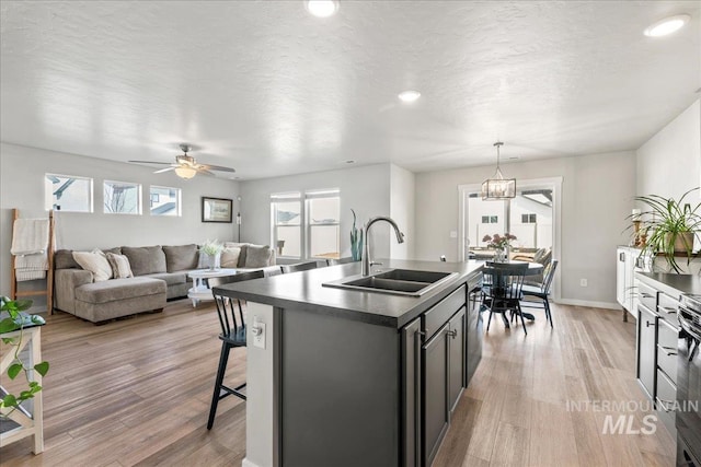 kitchen featuring light wood finished floors, a center island with sink, a sink, and a wealth of natural light