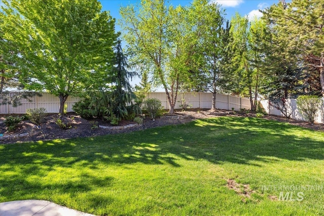 view of yard with a fenced backyard