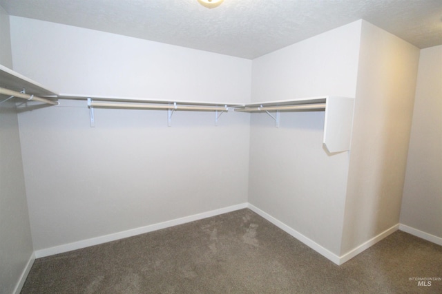 spacious closet with carpet floors