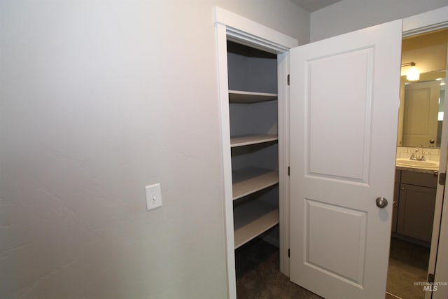 closet featuring a sink