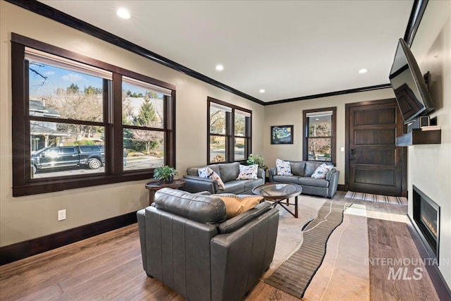 living room featuring light hardwood / wood-style flooring and crown molding