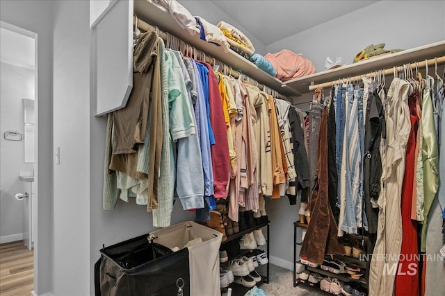4953 W Apgar St, Meridian, ID 83646 - view of walk in closet
