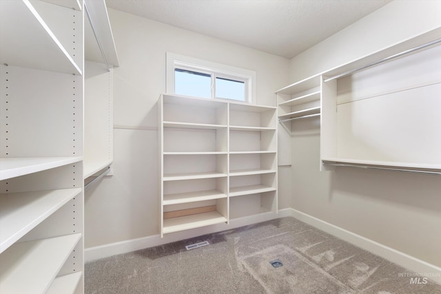 walk in closet featuring carpet floors