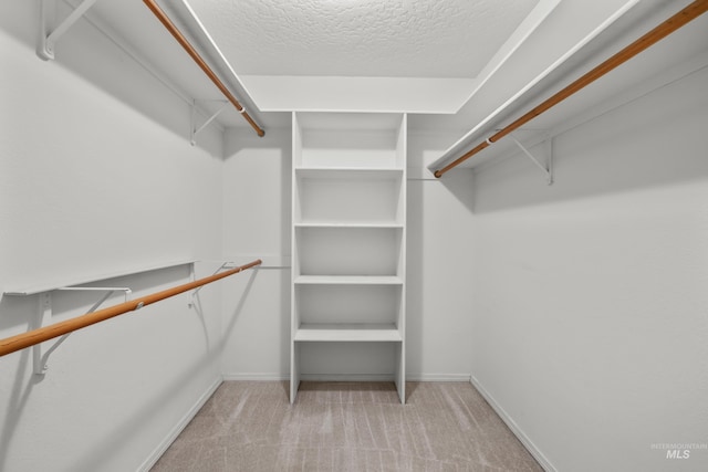 spacious closet featuring carpet floors