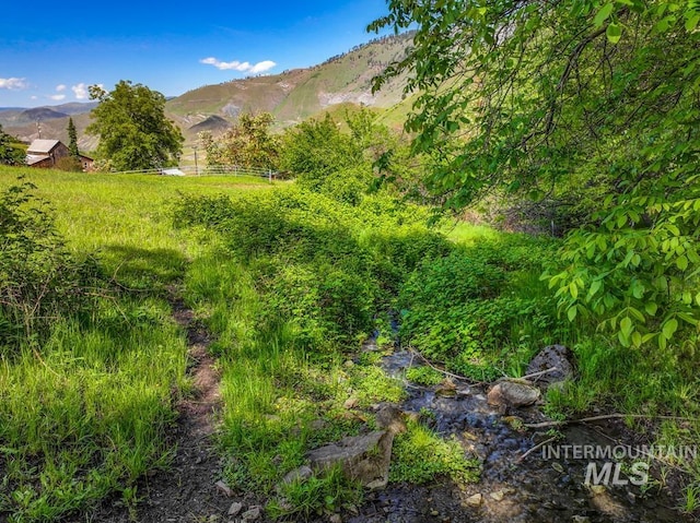 255 Seven U Ranch Rd, Lucile, ID 83542 - mountain view