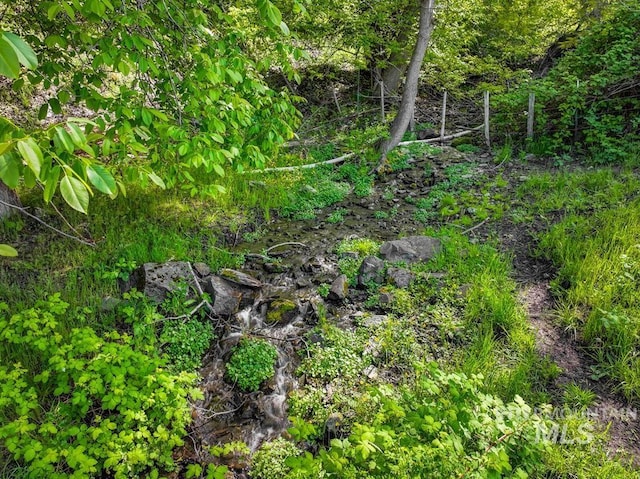 255 Seven U Ranch Rd, Lucile, ID 83542 - view of nature