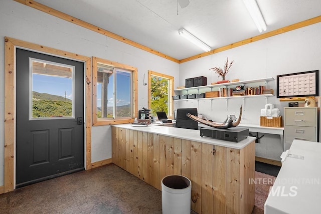 255 Seven U Ranch Rd, Lucile, ID 83542 - office featuring plenty of natural light